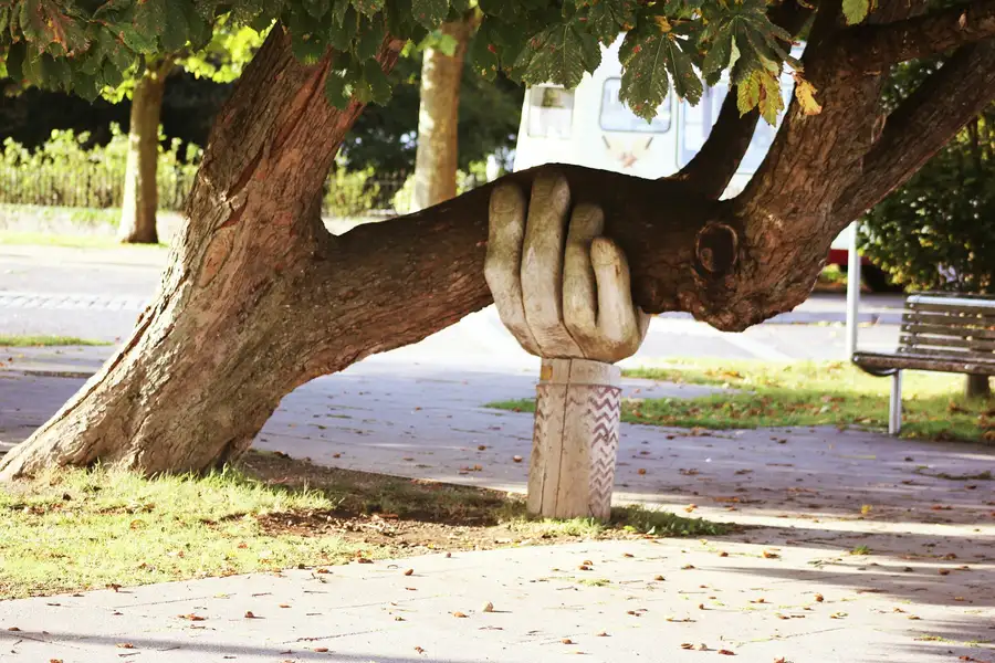 A carved wooden hand propping up a leaning tree branch, symbolizing steady support.